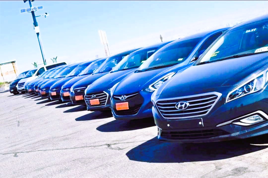 Hyundai H1 Servicio Zeus